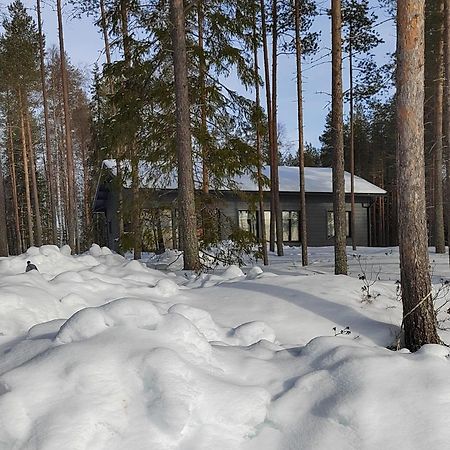 Norvalisma Villa Rovaniemi Exterior foto