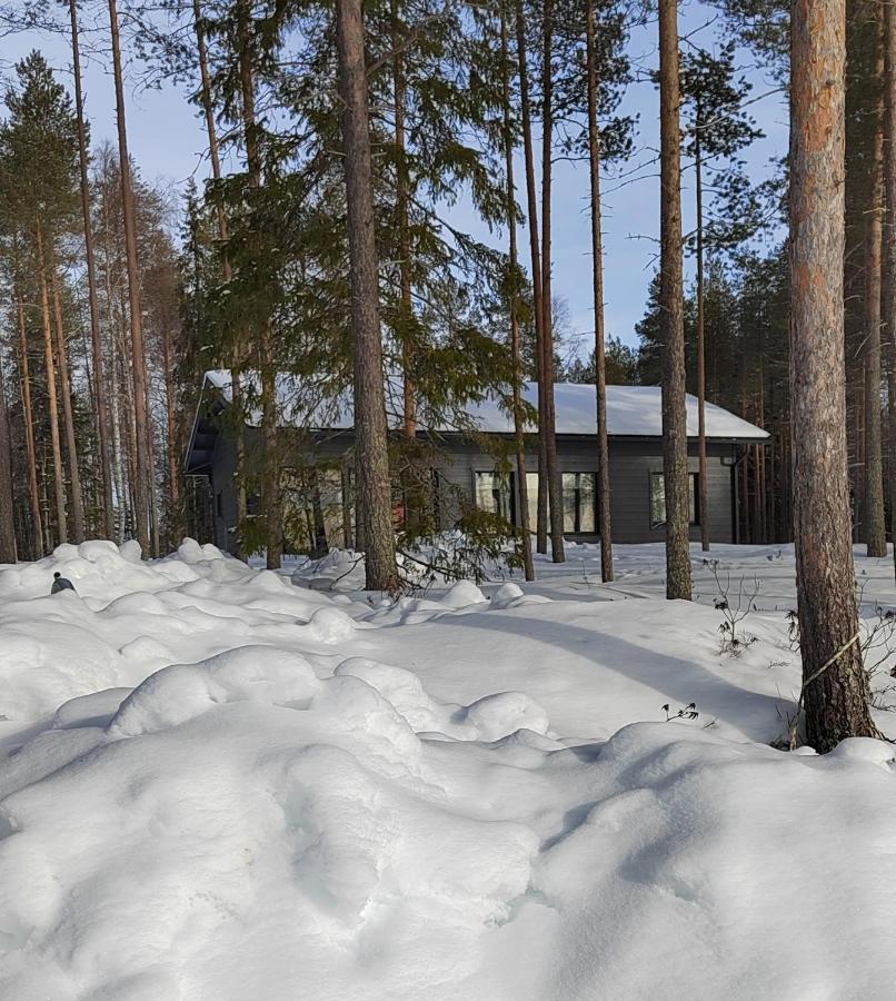 Norvalisma Villa Rovaniemi Exterior foto